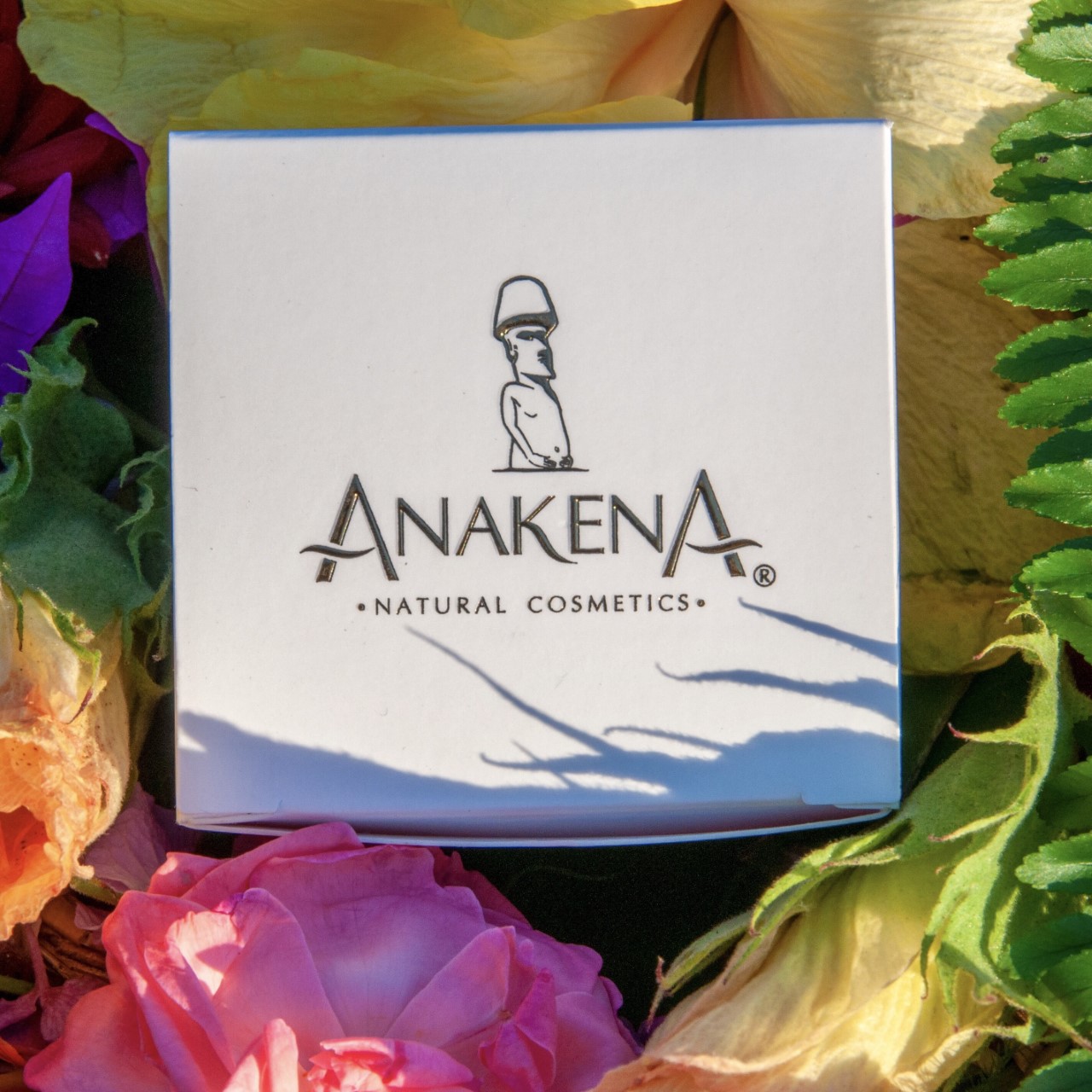 Más información sobre el artículo ¿Qué representa el logo de Anakena?