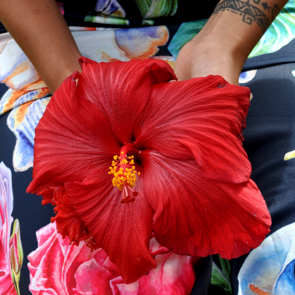 La felicidad es una elección