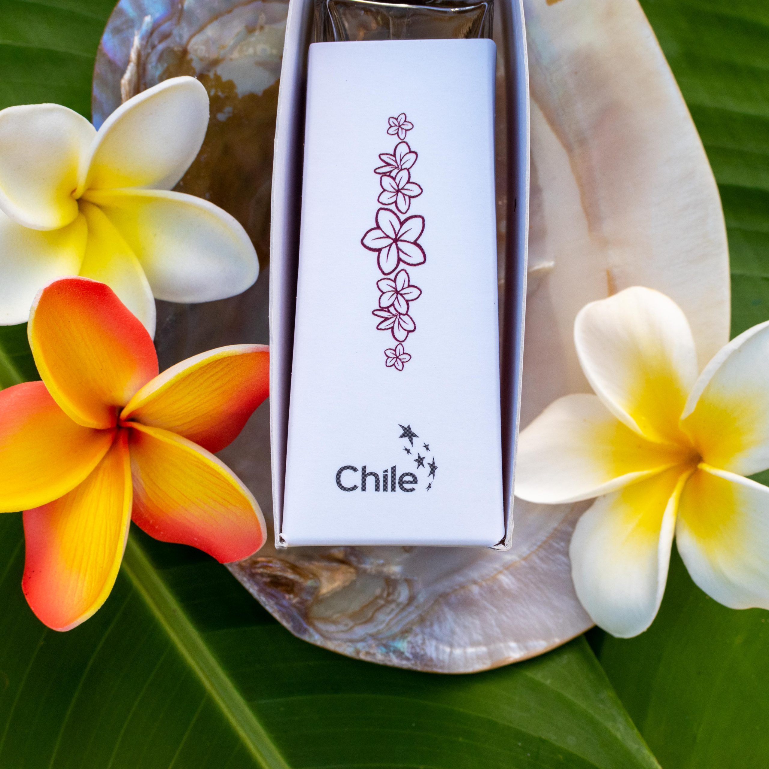 Más información sobre el artículo EN ANAKENA SOMOS MARCA CHILE