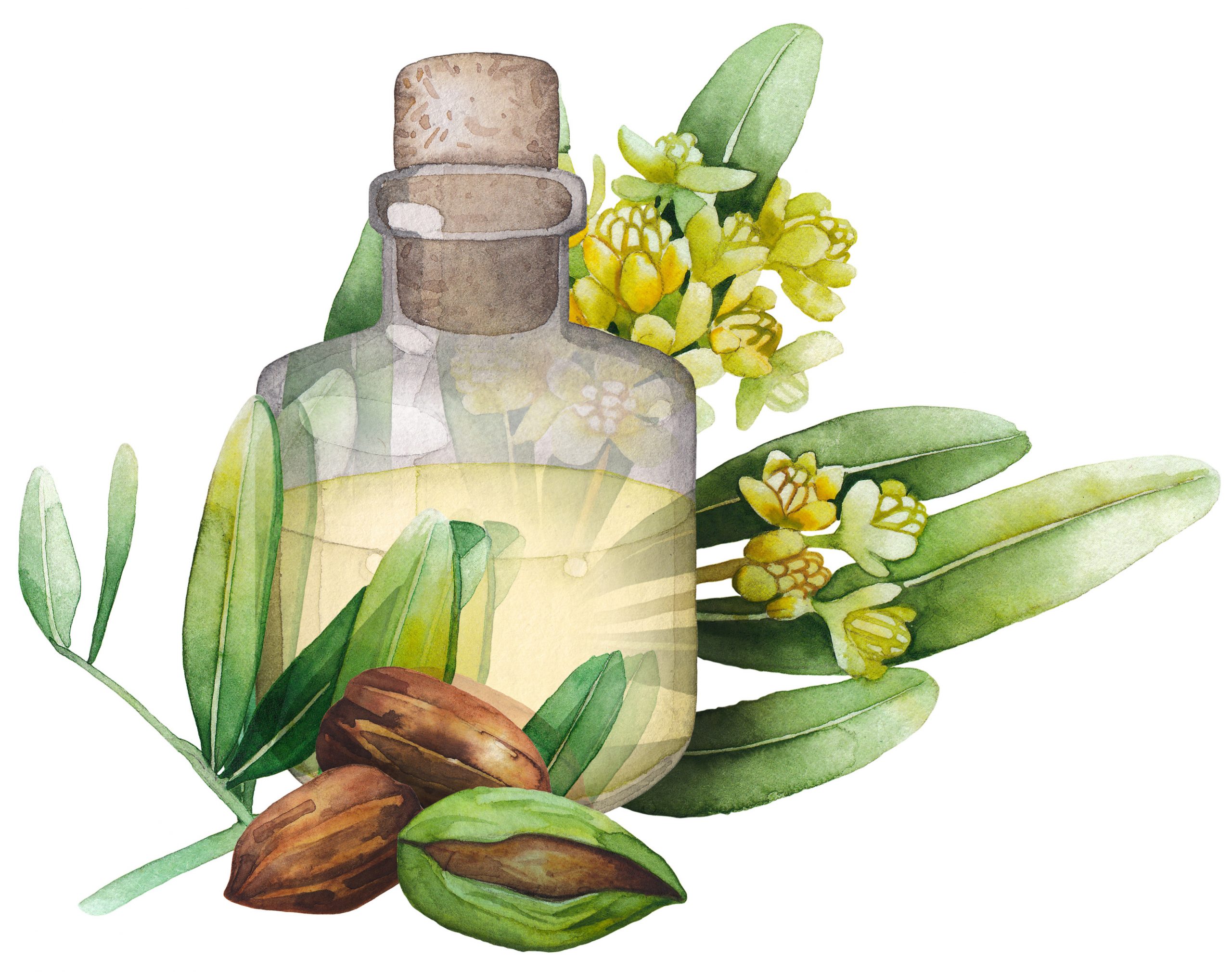aceite de jojoba