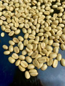 café en Rapa Nui secándose