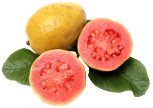guayaba Psidium guajava