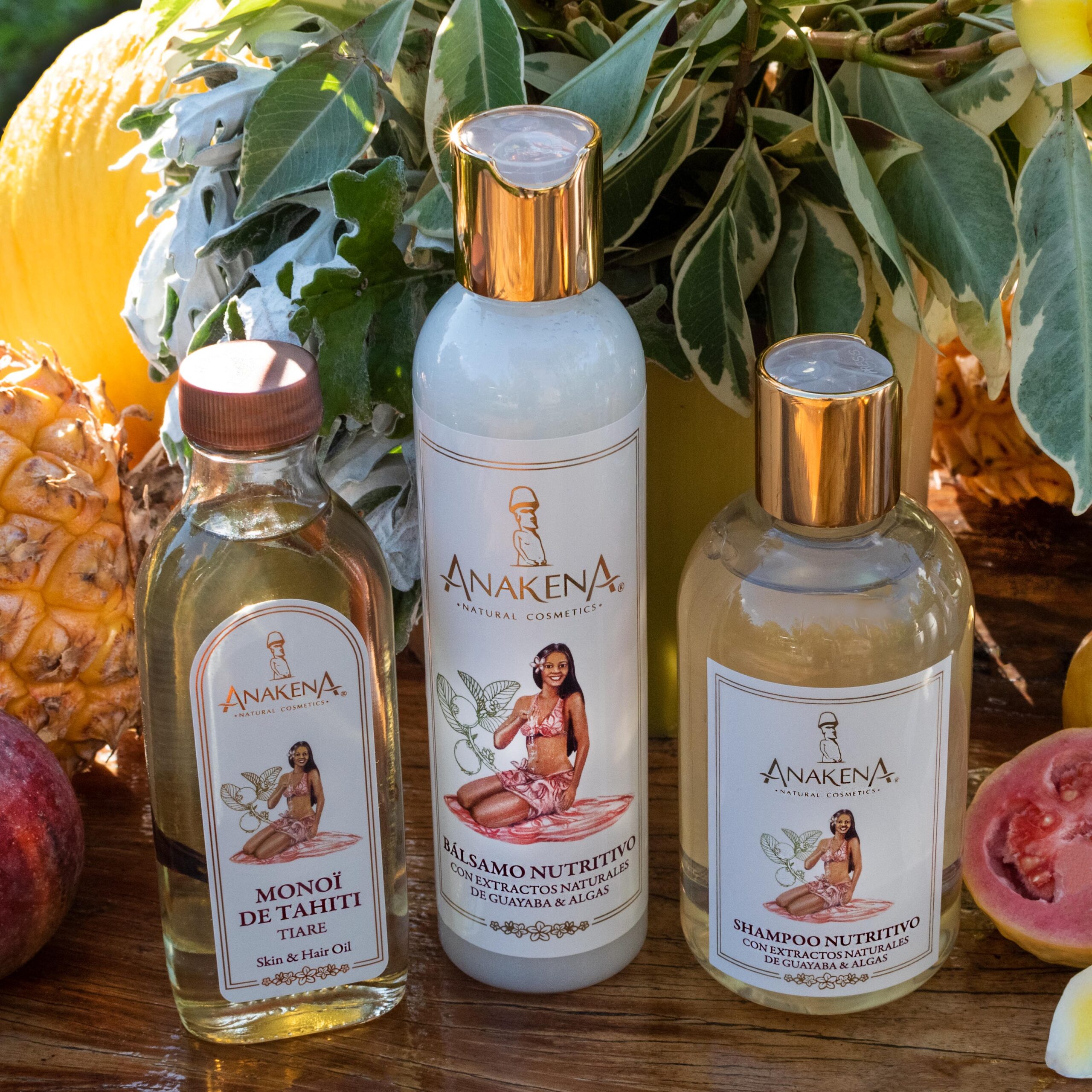 Más información sobre el artículo Los valores y la filosofía de Anakena