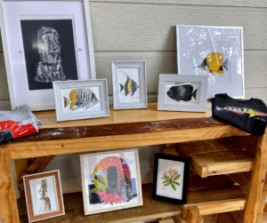 Tienda Conque Rapa Nui