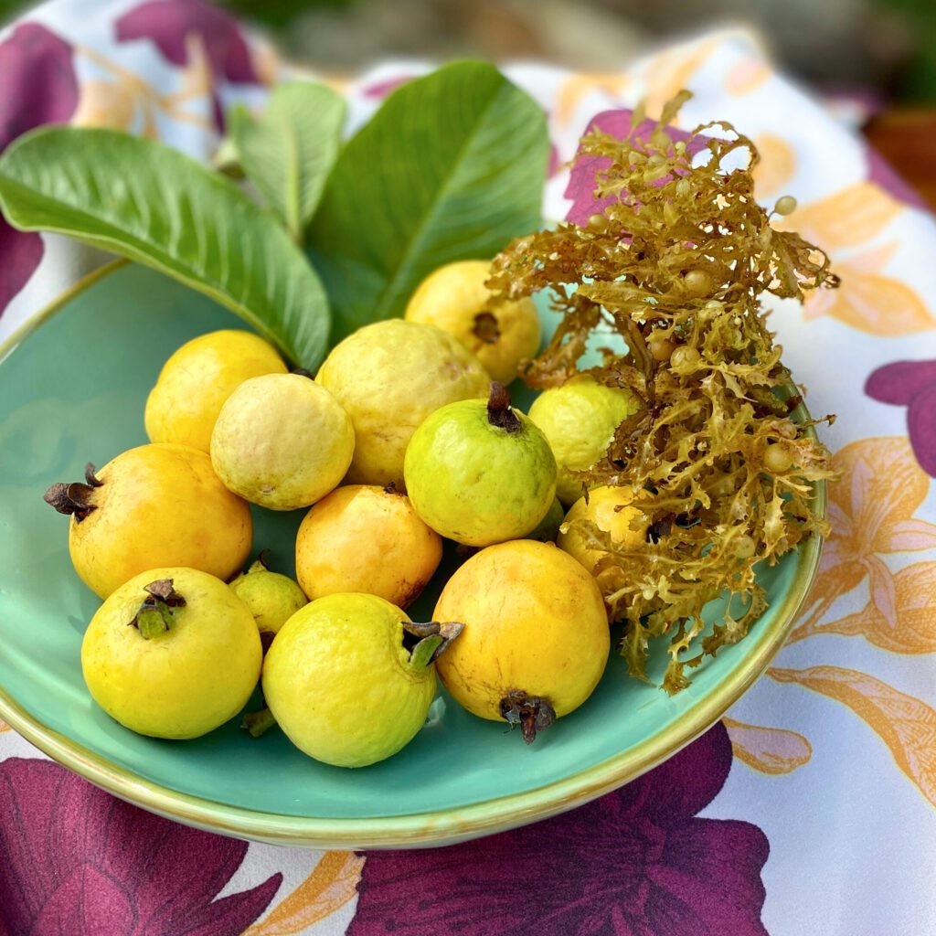 extracto de guayaba (Psidium guajava fruit extract) como extracto de algas (Chondrus crispus extract o Fucus vesiculosus extract)